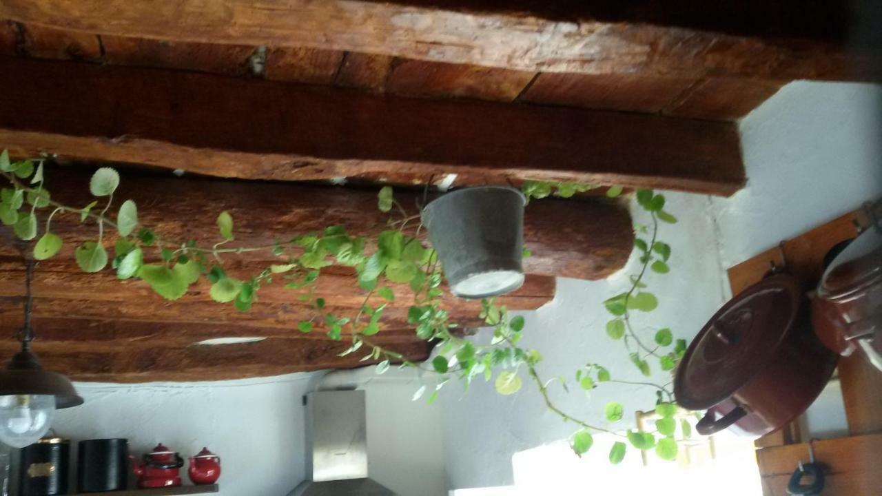 Maison d'hôtes La Casa De La Acequia à Serón Extérieur photo