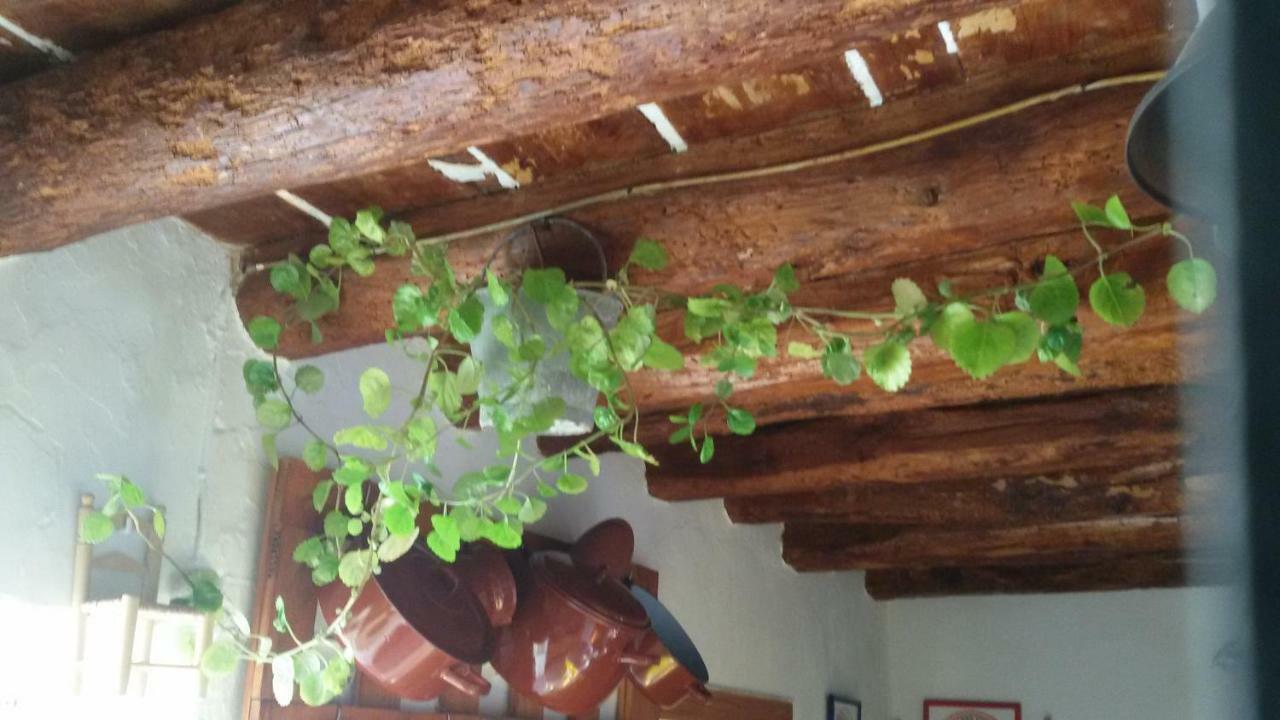 Maison d'hôtes La Casa De La Acequia à Serón Extérieur photo